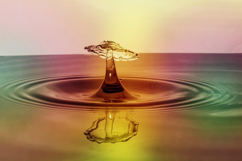 Ripple Price Forecast